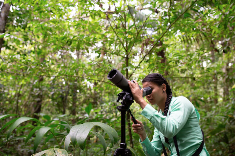 The complete guide to Sloths in Chachagua Rainforest Hotel & Hot