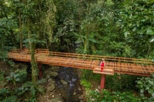 chachagua rainforest hotel & hot springs