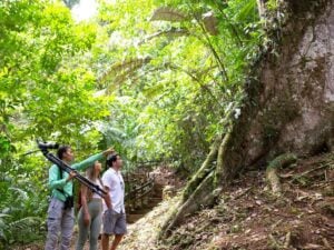chachagua rainforest hotel