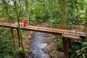 Enjoy nature at Chachagua Rainforest