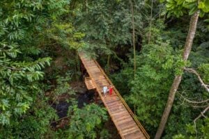 chachagua rainforest ecolodge