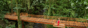 Walking across rainforest bridge at Chachagua Rainforest Hotel
