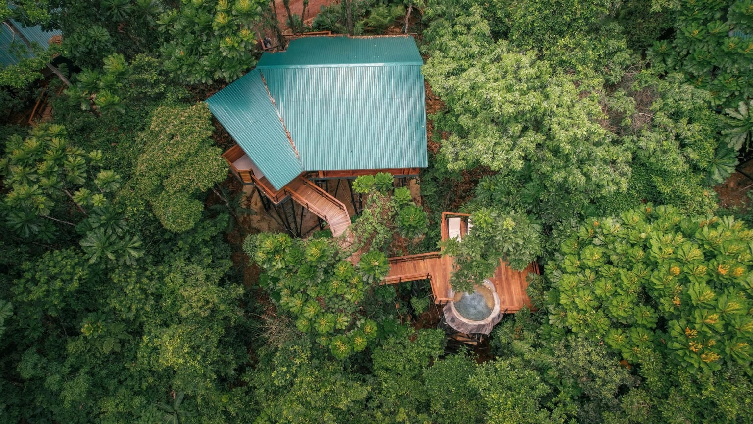 jungle tree house dron (2)